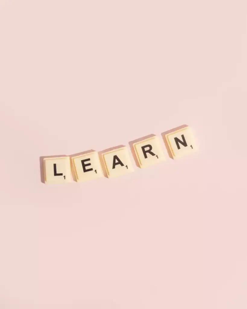 Learn, finnisches Schulsystem