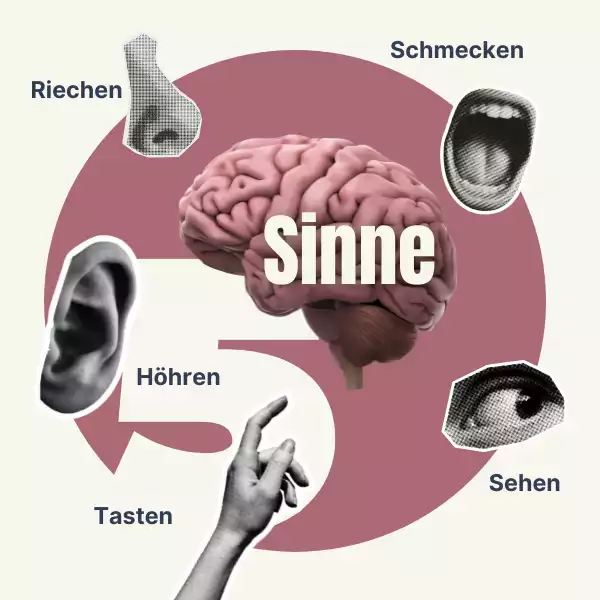 5 Sinne im Büro