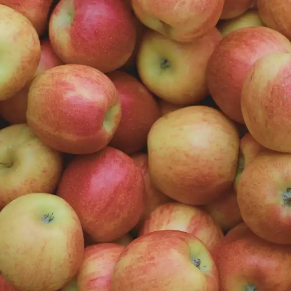 Äpfel, saisonal und regional