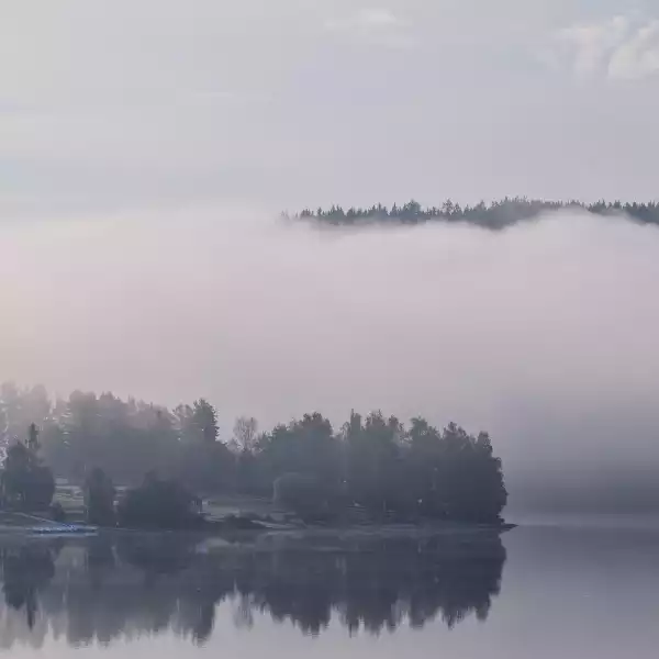 Leben in Finnland Nachteile Wald Nebel