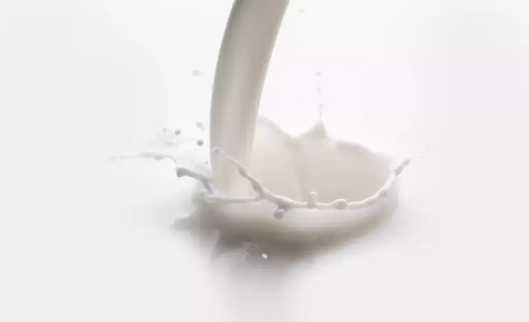 Milch gesund oder ungesund?