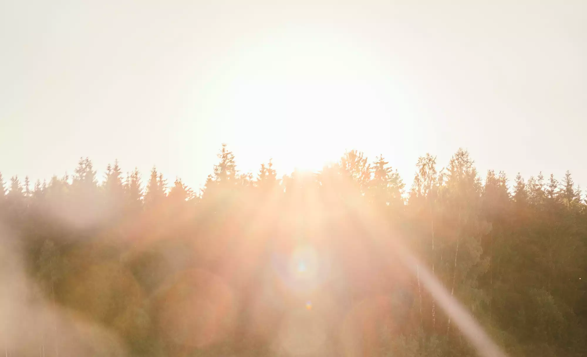 Vom Stolpern zum Strahlen