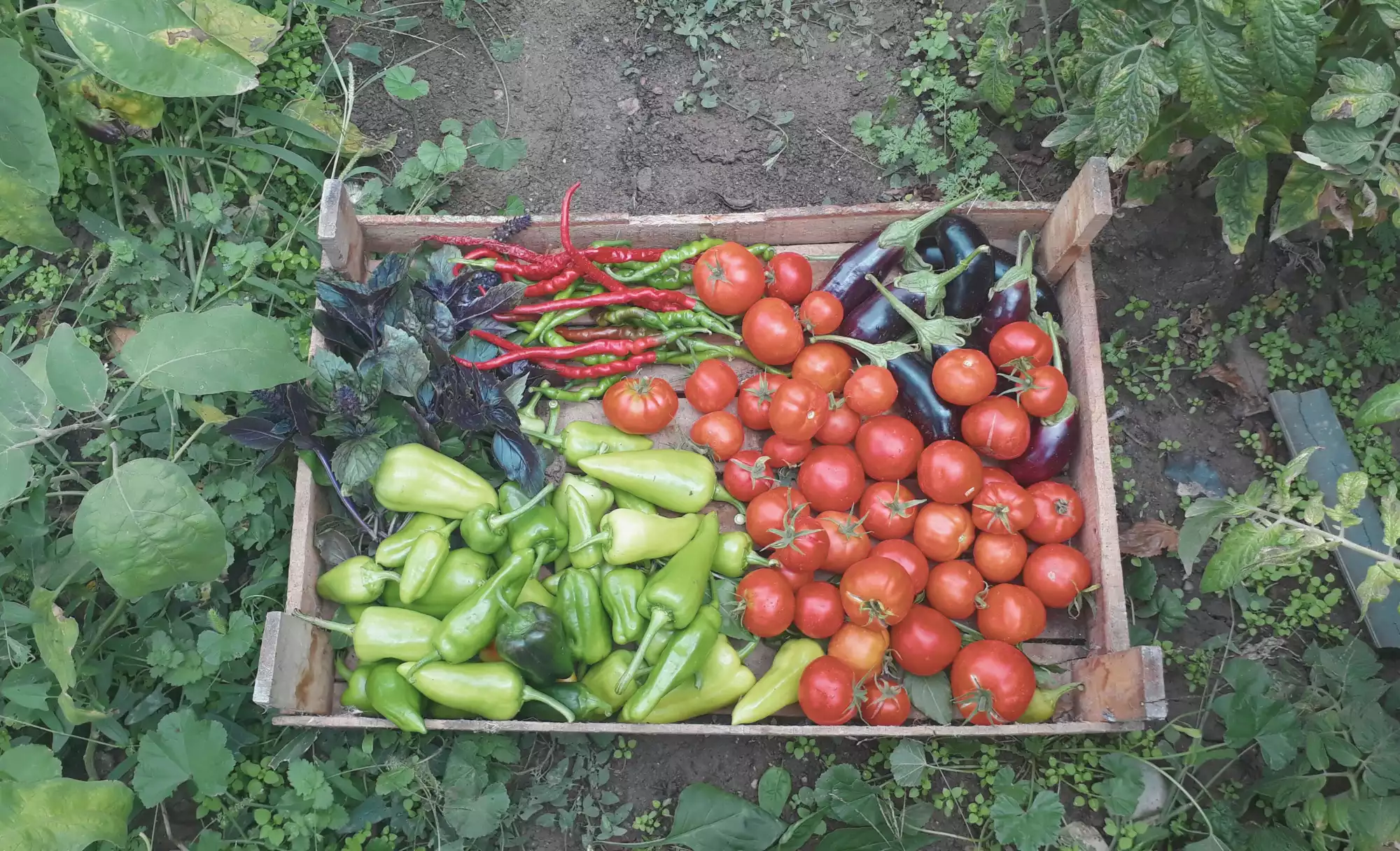 Saisonal und regional