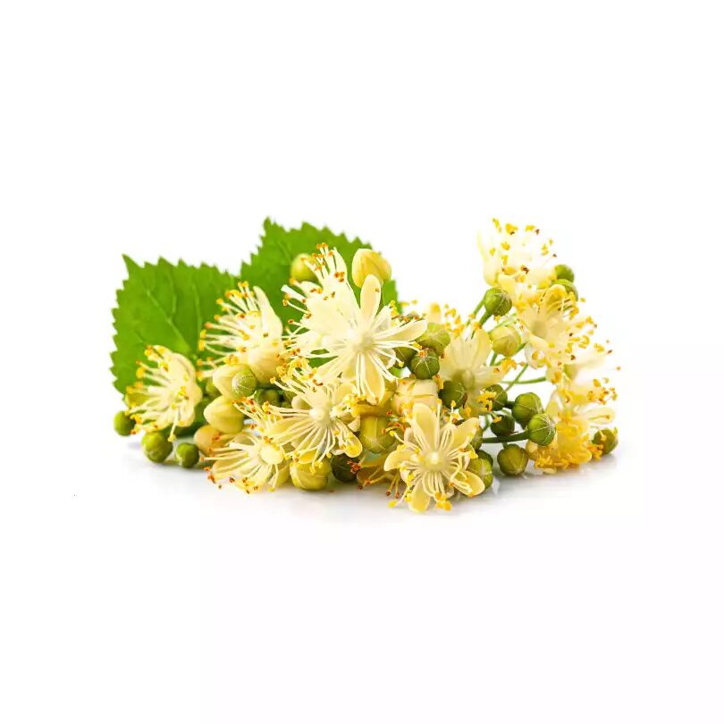 finnische Kräuter, Teetrinken und Kaffeegenuss