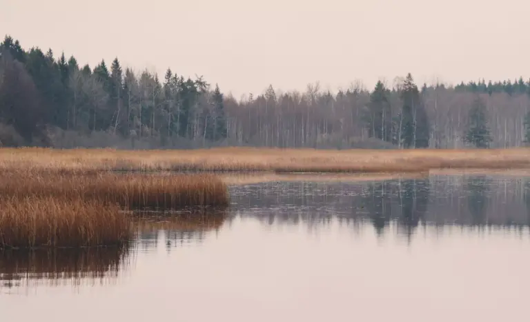 Glücksforschung Yesvember