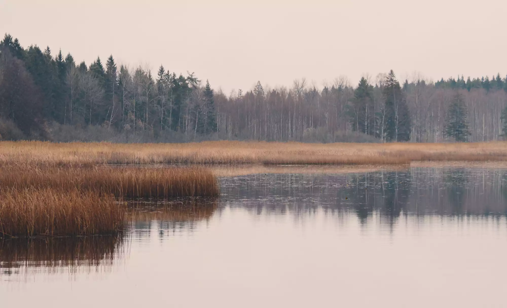 Glücksforschung Yesvember
