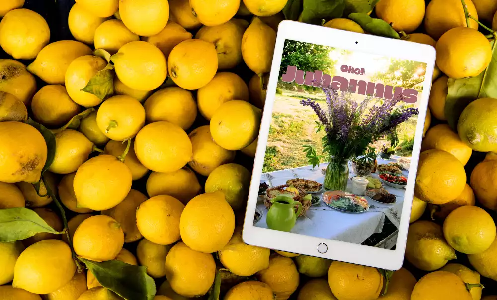E-Book Juhannus Rezepte