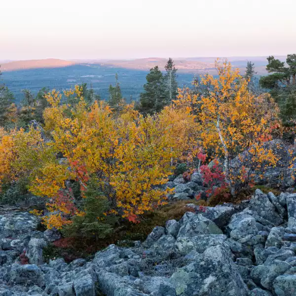 Sommerreise Finnland