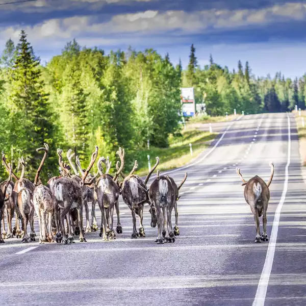 Sommerreise Finnland