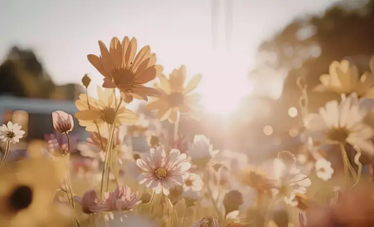 Sonnenlicht