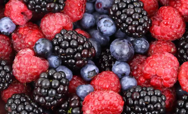 Intuitives Essen, Beeren